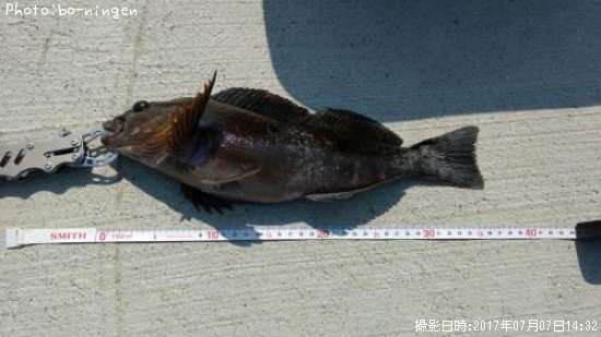 �����ʥ�