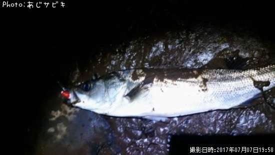 �����Х�