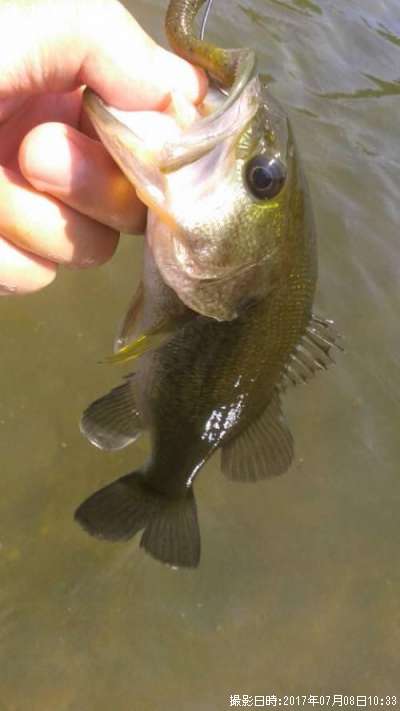 �֥�å��Х�