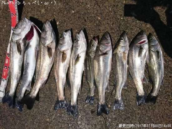 �����Х�