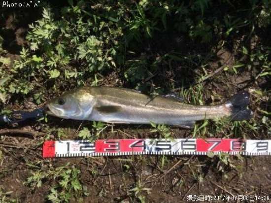 �����Х�