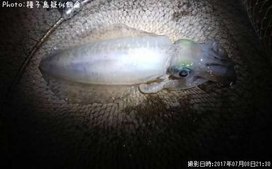 �����ꥤ��