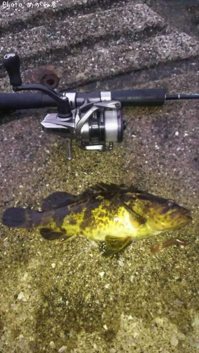 �����Υ���Х�