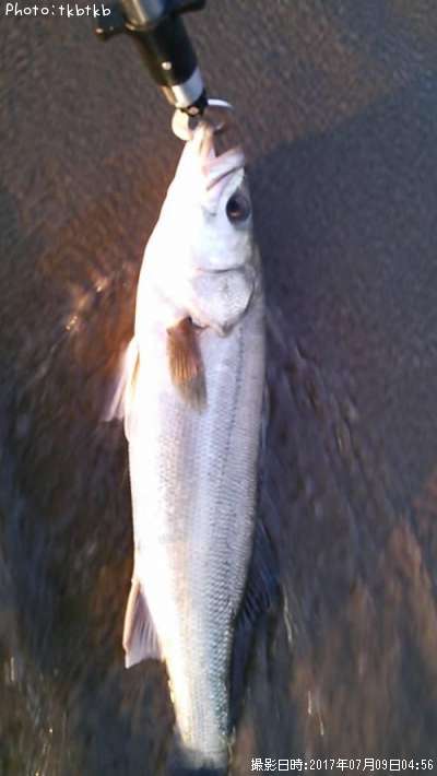 �����Х�