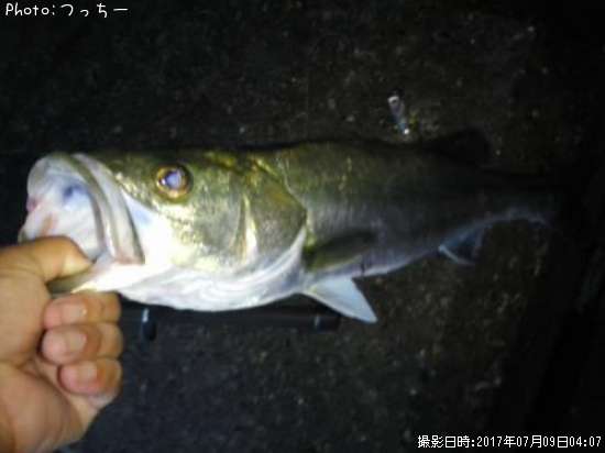 �����Х�