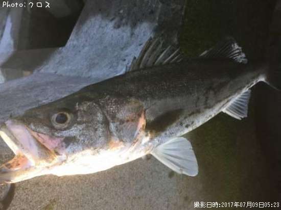 �����Х�