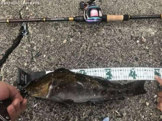 �����ʥ�