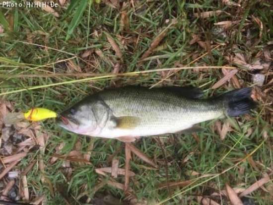 �֥�å��Х�