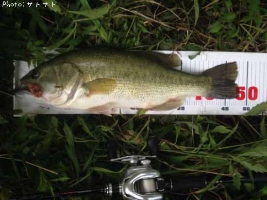 �֥�å��Х�