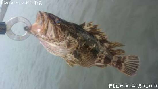 �����Υ���Х�