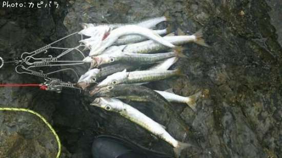 ���ޥ�¿��