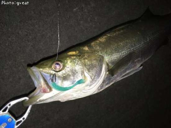 �����Х�