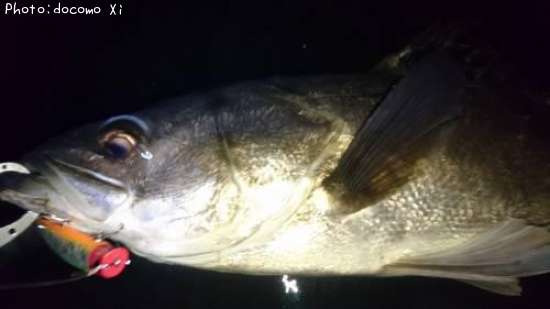 �����Х�