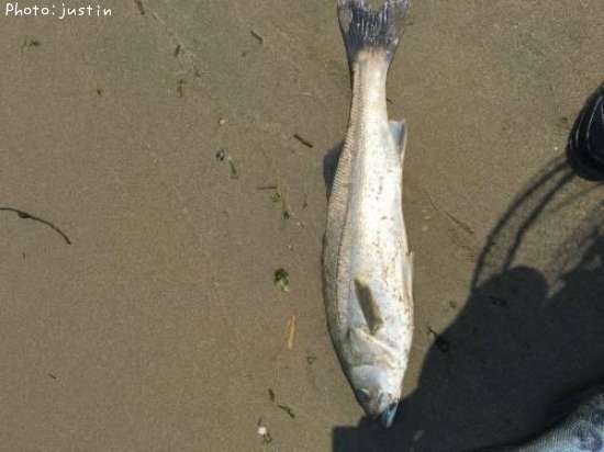 �����Х�