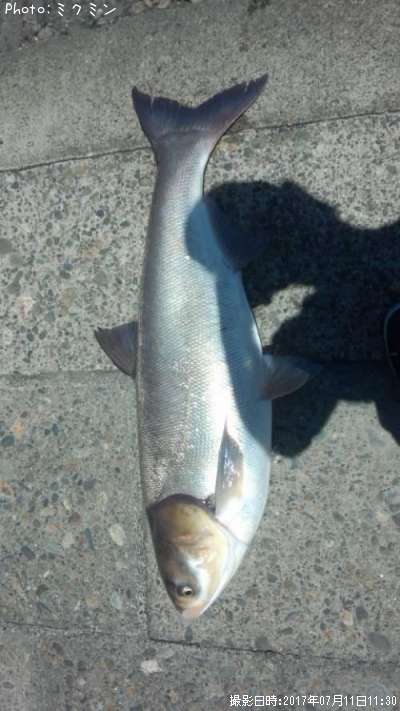 ������ǣ�