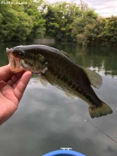 �֥�å��Х�