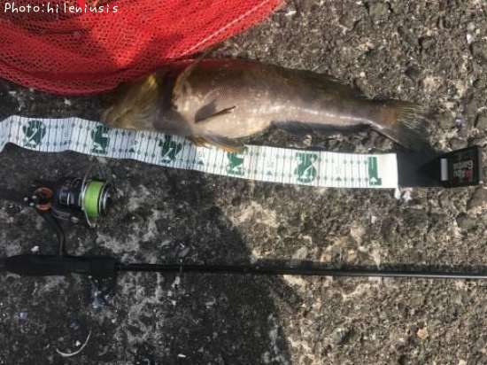 �����ʥ�