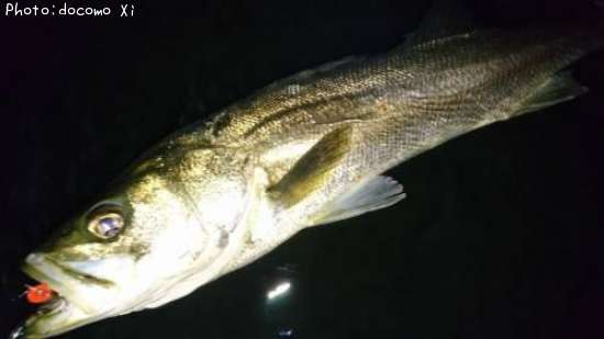 �����Х�