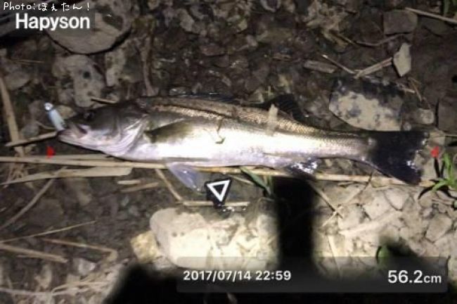 �����Х�