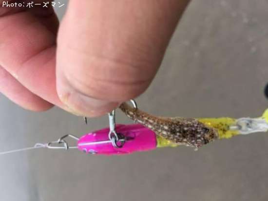 �參�������ޥ�����