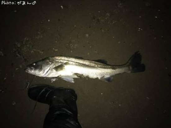 �����Х�