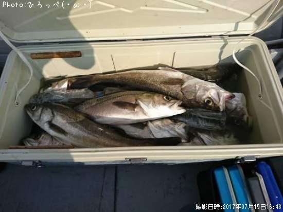 �����Х�