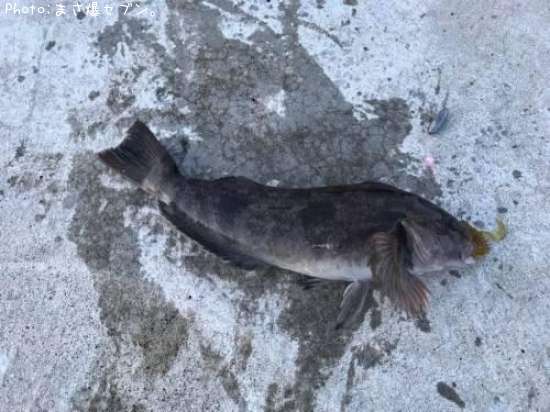 �����ʥ�