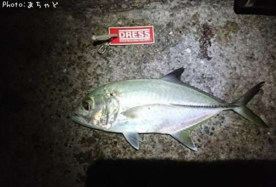 ������ڥ��󥬥ᥢ����