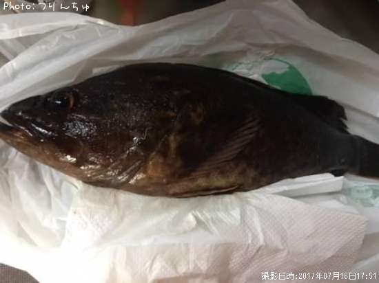 �����Υ���Х�