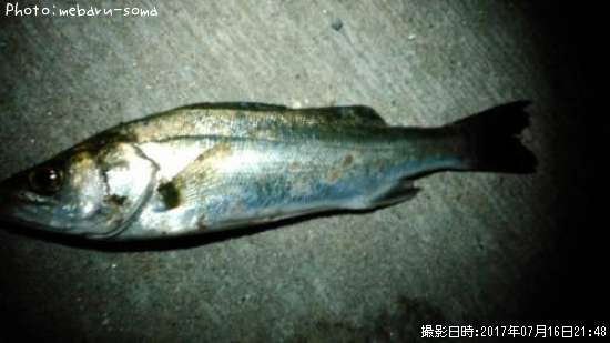 �����Х�