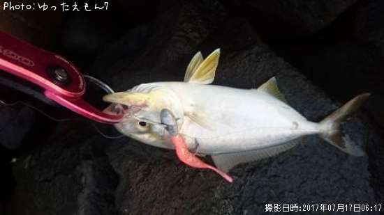 ����ѥ��λ�