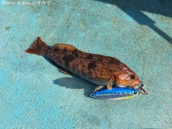 �����ʥ�