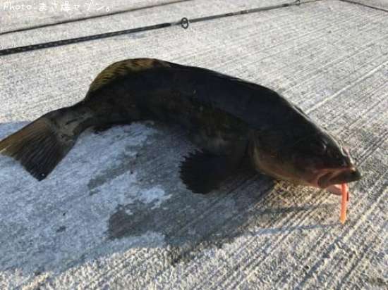 �����ʥ�