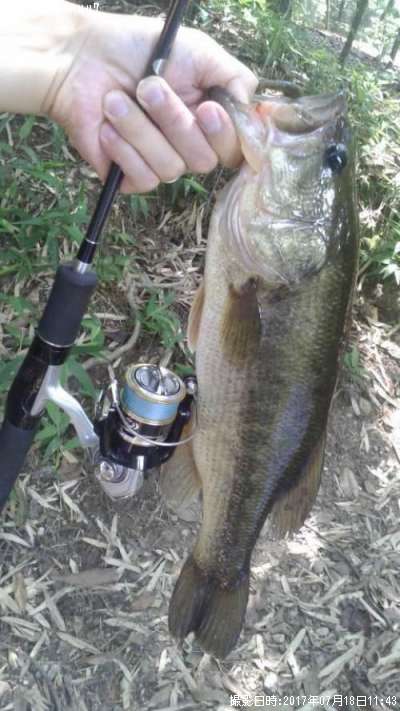 �֥�å��Х�