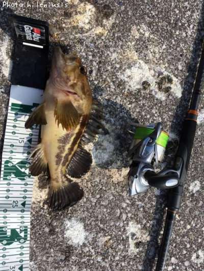 ���ޥ���