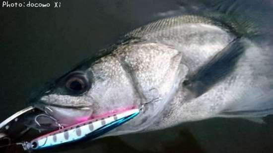 �����Х�