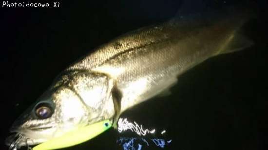 �����Х�