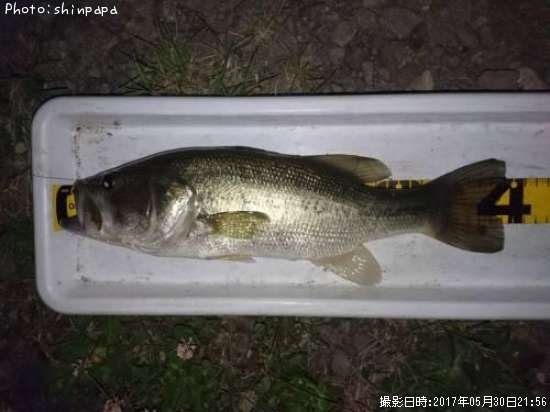 �֥�å��Х�