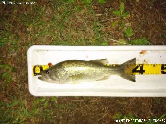 �֥�å��Х�