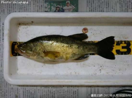 �֥�å��Х�