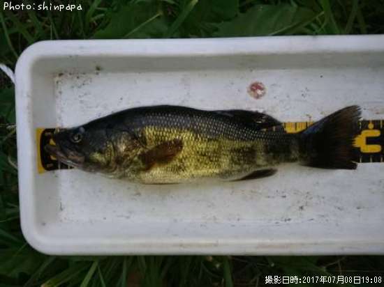 �֥�å��Х�