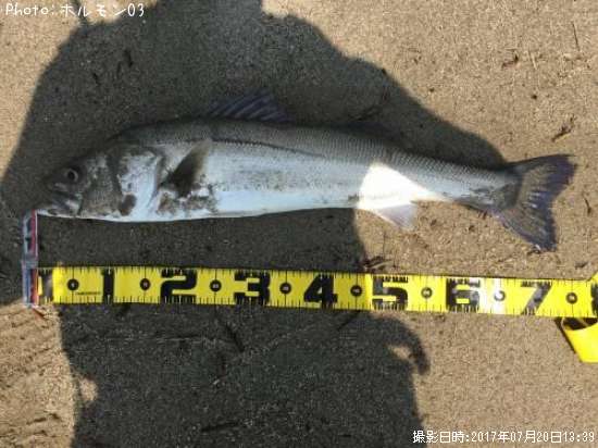 �����Х�