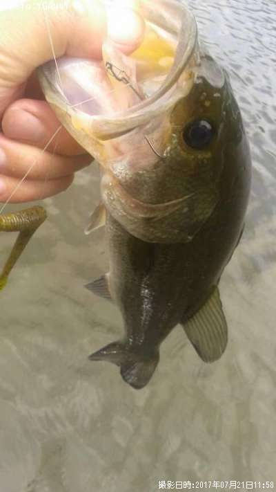 �֥�å��Х�