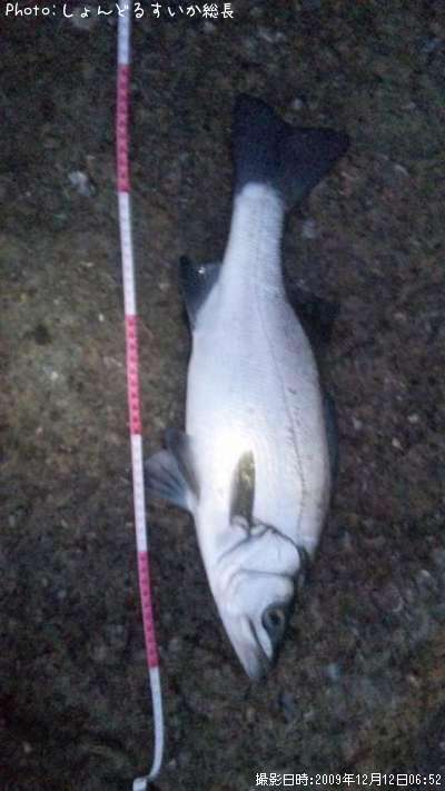 �ҥ饹����