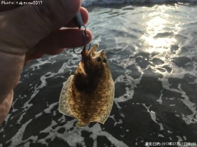 �ҥ��ʥ�����