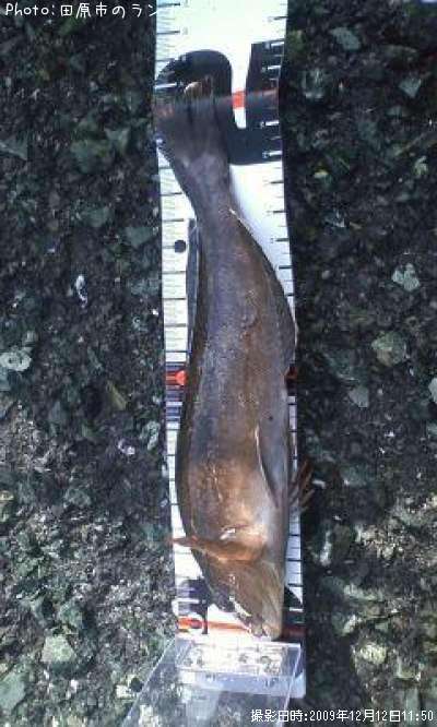 �����ʥ�