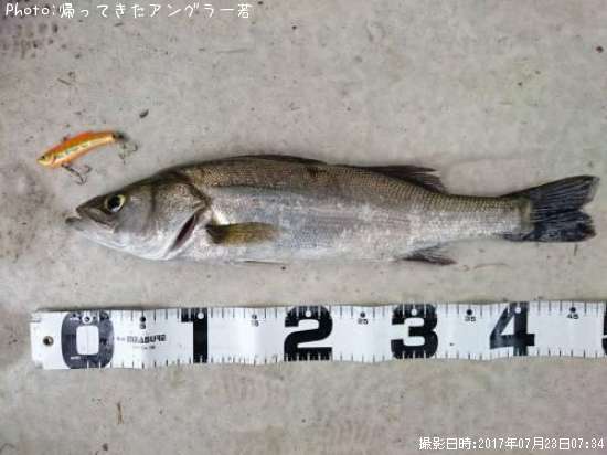 �����Х�