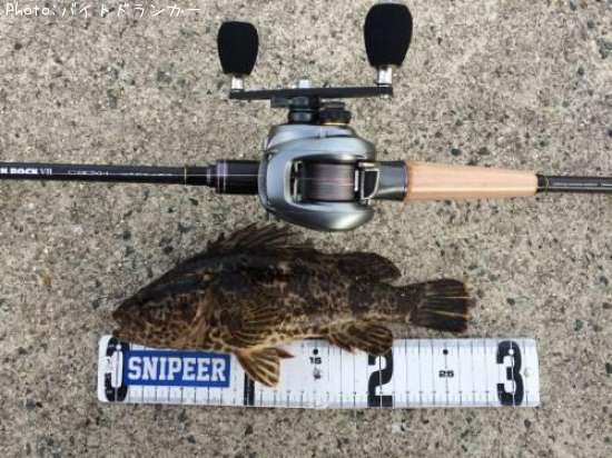 �����Υ���Х�