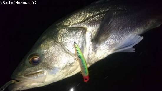 �����Х�