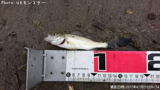 �����Х�